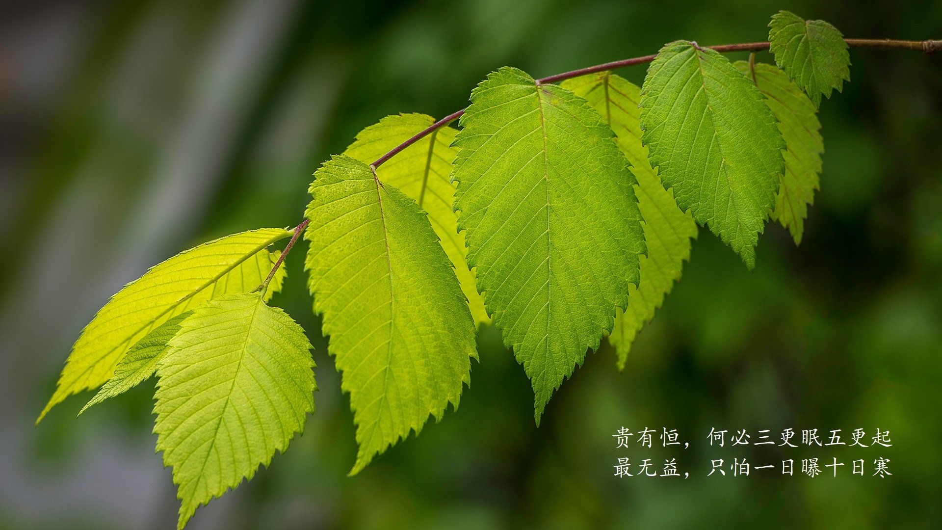 世界杯亚洲区预选赛中国队出线在望，世界杯预选赛亚洲区中国队前景分析