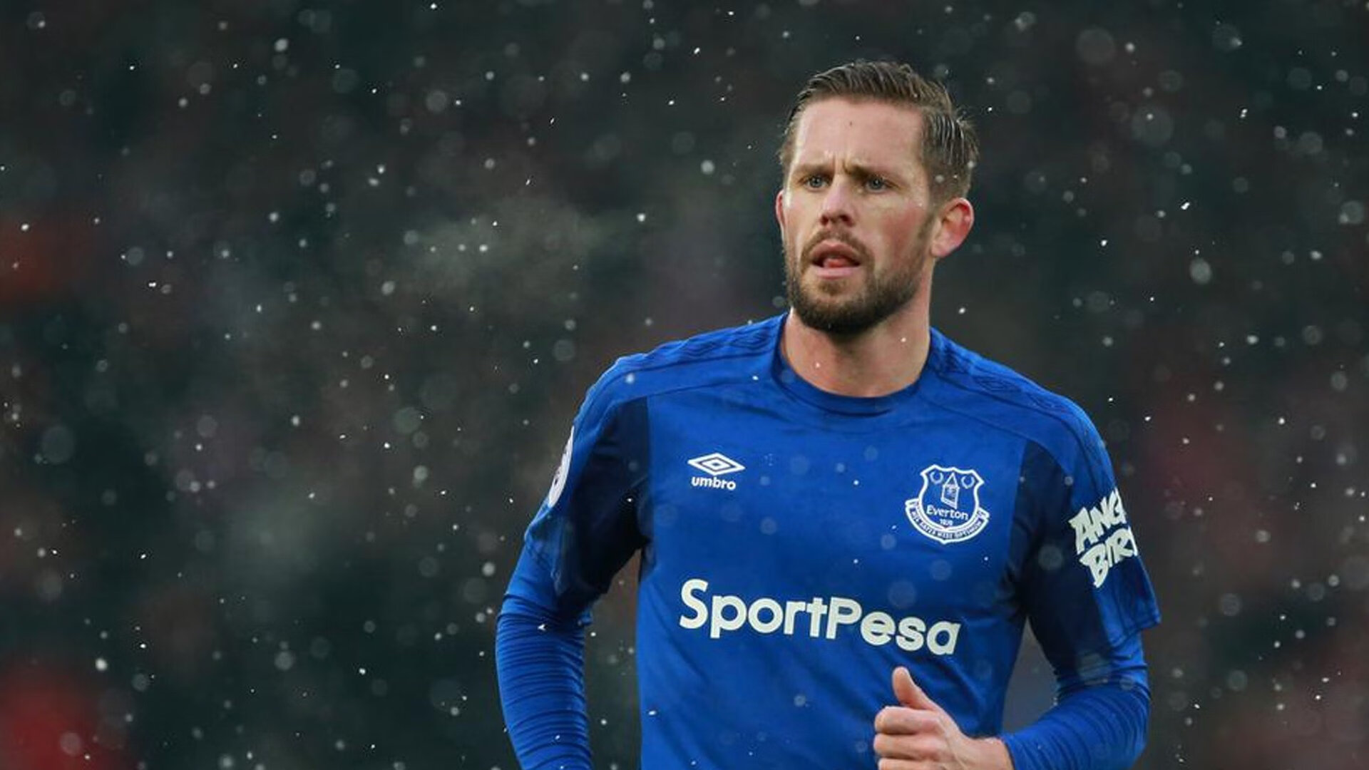 高山越野跑：山野之间的耐力考验，高山越野车图片